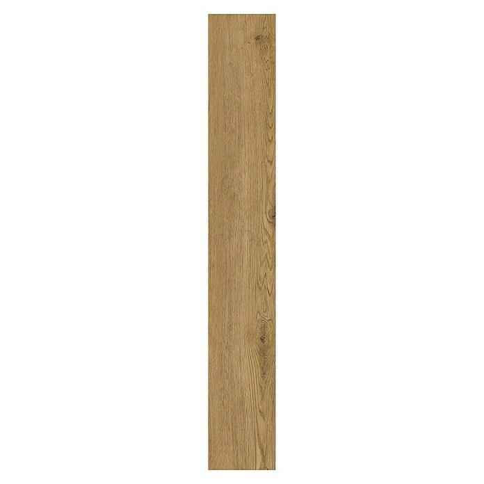 Suelo vinílico SPC Roble Olver (1.220 x 180 x 5,5 mm, Marrón, Resistente al agua) | BAUHAUS