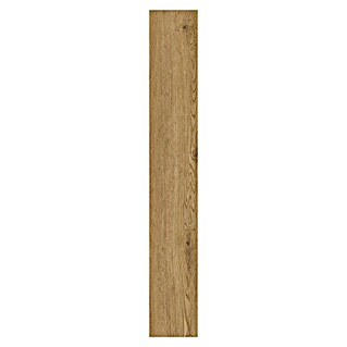 Suelo vinílico SPC Roble Olver (1.220 x 180 x 5,5 mm, Marrón, Resistente al agua)