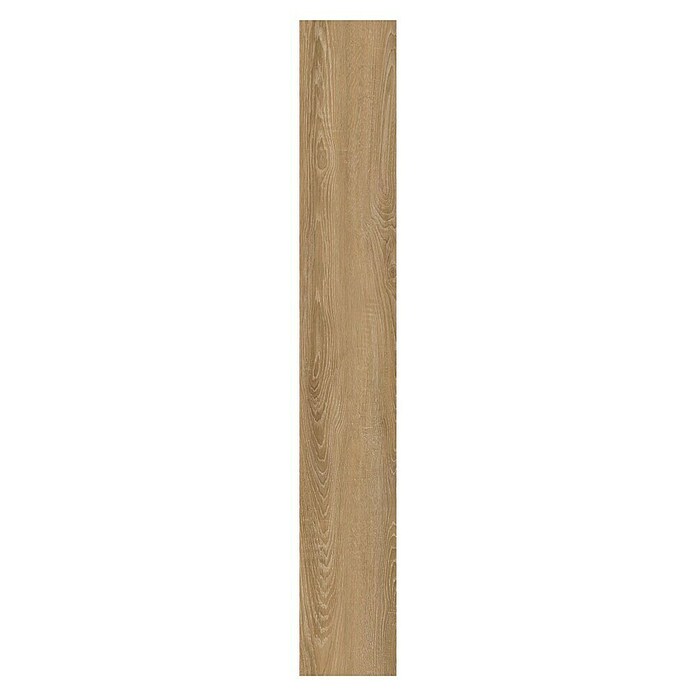 Oknum Suelo vinílico SPC Honey Oak (1.220 x 182 x 5 mm, Honey Oak) | BAUHAUS