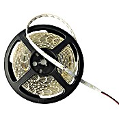 Alverlamp Tira LED (Largo: 5 m, Color de luz: Blanco cálido, 9,6 W)