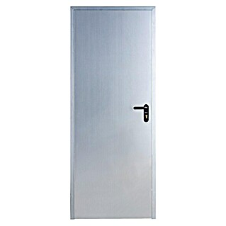 Roper Puerta de trastero Galvanizada (90 x 210 cm, Izquierda, Gris)