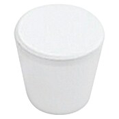 Nesu Pomo para muebles 34721 (Ø x Al: 25 x 25 mm, Acero, Mate)