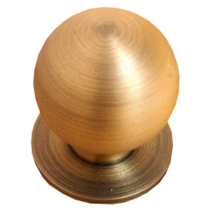 Nesu Pomo para muebles 24515 (Ø x Al: 23 x 27 mm, Acero, Latón)