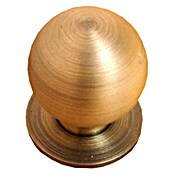 Nesu Pomo para muebles 24515 (Ø x Al: 23 x 27 mm, Acero, Latón)