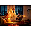 Philips Bombilla LED Vintage Gold (5,5 W, E27, Color de luz: Blanco cálido, Redondeada)