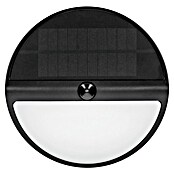 Lavida Solar-Außenwandleuchte (5 W, L x B x H: 9,7 x 20 x 20 cm, Schwarz, IP54, 500 lm) | BAUHAUS