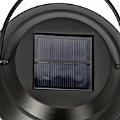 BAUHAUS Solar-Erdspieß Laterne (0,06 W, L x B x H: 12 x 12 x 78 cm, Schwarz, IP44, 7,2 lm) | BAUHAUS