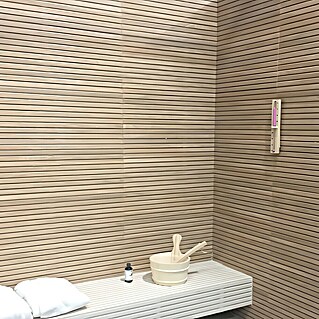 Wandfliese Spa Beige Dekor (30 x 90 cm, Beige, Matt)