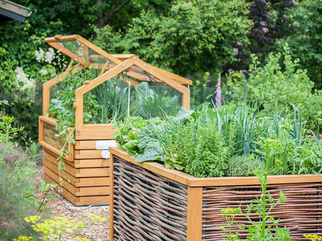 2 Hochbeete im Garten mit mehreren Kräutern und Gemüsesorten bestückt