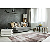 Kurzflorteppich Feeling 501 (Beige, 290 x 200 cm, 100 % Polypropylen (Flor)) | BAUHAUS