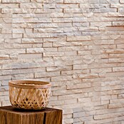 Stegu Verblendstein Hampton (13 x 38,5 cm, Grau/Beige, Steinoptik) | BAUHAUS