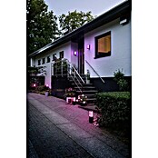 Philips Hue Led-sokkellamp (2 lampen, 8 W, Lichtkleur: Bont, IP44)