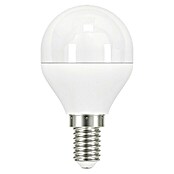 Garza Bombilla LED High Tech (7 W, E14, Color de luz: Blanco cálido, No regulable, Redondeada)