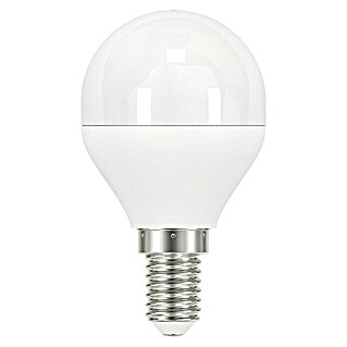 Garza Bombilla LED (E14, 6 W, 470 lm, Blanco cálido, Redonda, Blanco)