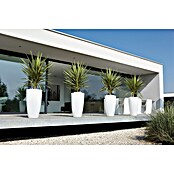 Elho Okrugla tegla za biljke Pure Soft High  (Vanjska dimenzija (ø x V): 39 x 70,1 cm, Bijele boje, Plastika) | BAUHAUS