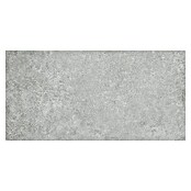Feinsteinzeugfliese Beton Tendance (30 x 60 cm, Grau, Glasiert)
