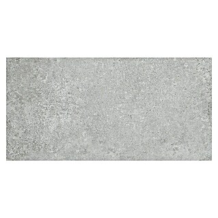 Feinsteinzeugfliese Beton Tendance (30 x 60 cm, Stärke: 7,4 mm, Grau, Matt)