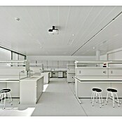 THU Ceiling Solutions Placa para techo Venezia 200 (3 m x 20 cm, Contenido: 1 ud.)