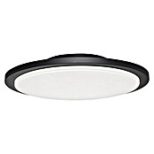 Starlux Aplique para exterior LED Monza (20 W, Antracita/Blanco, 30 cm)