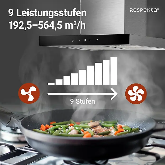Respekta Blockhaube CH44160G-20 - Breite: 60 cm, Edelstahl - Dunstabzugshaube Respekta® mit 9 Leistungsstufen (192,5–564,5 m³/h) für optimale Luftreinigung in der Küche.