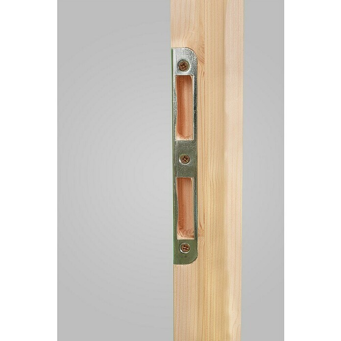 Nebeneingangstür 501 (98 x 200 cm, DIN Anschlag: Rechts)