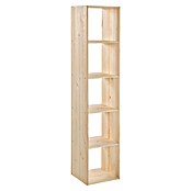 Astigarraga Dinamic Holzregal (L x B x H: 33 x 36,2 x 174,6 cm, Holz)