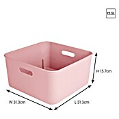 Sunware Sigma home Aufbewahrungsbox cube box (L x B x H: 31,3 x 31,3 x 15,7 cm, Kunststoff, Rosa, 12,5 l) | BAUHAUS
