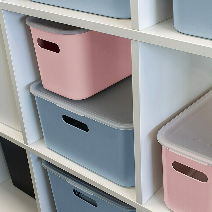 Sunware Sigma home Aufbewahrungsbox cube box (L x B x H: 31,3 x 31,3 x 15,7 cm, Kunststoff, Rosa, 12,5 l) | BAUHAUS
