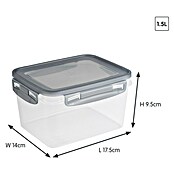 Sunware Gefrierdose Club Cuisine (1,5 l, L x B x H: 17,5 x 14 x 9,5 cm, Farbe Deckel: Grau) | BAUHAUS