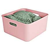 Sunware Sigma home Aufbewahrungsbox cube box (L x B x H: 31,3 x 31,3 x 15,7 cm, Kunststoff, Rosa, 12,5 l) | BAUHAUS