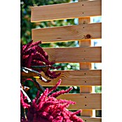 Dobar Rankhilfe Magnolia (49 x 175 cm, Holz, Naturbelassen) | BAUHAUS