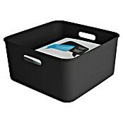 Sunware Sigma home Opbergbox cube box (l x b x h: 31,3 x 31,3 x 15,7 cm, Kunststof, Zwart, 12,5 l) | BAUHAUS