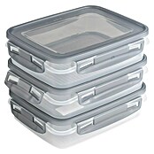 Sunware Gefrierdose Club Cuisine (0,7 l, L x B x H: 17,5 x 14 x 4,4 cm, Deckelfarbe: Grau) | BAUHAUS