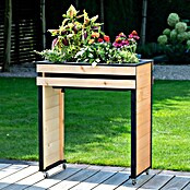 Dobar Hochbeet Wheely auf Rollen (77 x 47 x 88 cm, Holz, Braun/Schwarz) | BAUHAUS