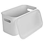 Sunware Sigma home Deksel cube box (Passend bij: Sunware Cube box 6 Liter) | BAUHAUS