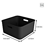 Sunware Sigma home Opbergbox cube box (l x b x h: 31,3 x 31,3 x 15,7 cm, Kunststof, Zwart, 12,5 l) | BAUHAUS