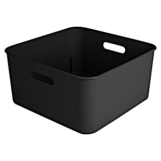 Sunware Sigma home Aufbewahrungsbox cube box (L x B x H: 31,3 x 31,3 x 15,7 cm, Kunststoff, Schwarz, 12,5 l)