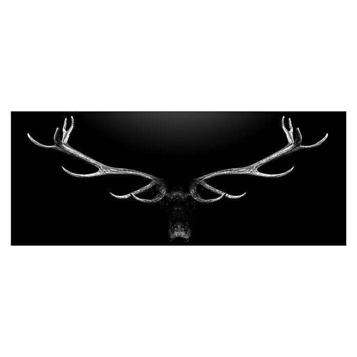 ProArt Glasbild Deer Antler (B x H: 80 x 30 cm, Glas)