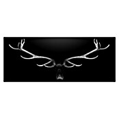 ProArt Glasbild Deer Antler (B x H: 80 x 30 cm, Glas)