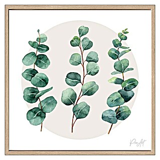 ProArt Bild (Eukalyptus, B x H: 53 x 53 cm)