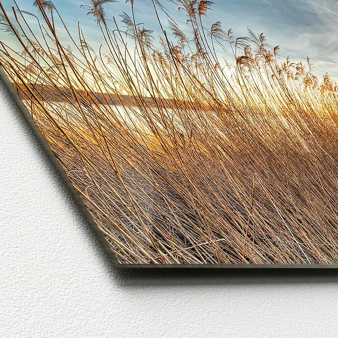 ProArt Glasbild - Way to the Sun, B x H: 125 x 50 cm - Ein stimmungsvolles Wandbild mit Schilf im Gegenlicht der untergehenden Sonne, das eine warme Atmosphäre in jeden Raum bringt.