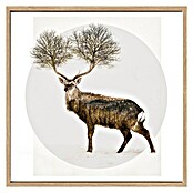 ProArt Gerahmtes Bild Deer with Trees (B x H: 53 x 53 cm)