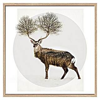 ProArt Bild (Deer with Trees, B x H: 53 x 53 cm)