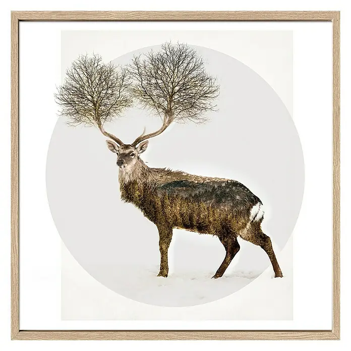 ProArt Bild - Deer with Trees, B x H: 53 x 53 cm - Das Bild zeigt ein Reh mit Baumgeweih, eingefasst in einem hellen Holzrahmen, der das surreale Motiv betont und einen Hauch von Natürlichkeit verleiht.