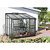 Vitavia Gewächshaus (2,01 x 2,62 x 2,21 m, Glasstärke: 4 mm, Anthrazit/Schwarz)