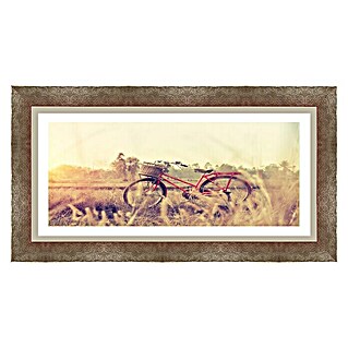 Cuadro (Bici, An x Al: 129 x 70 cm)