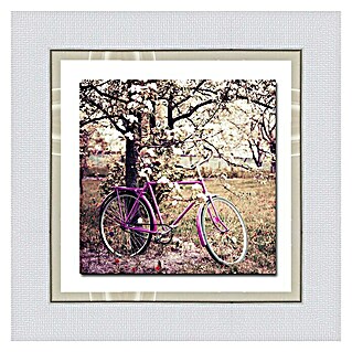 Cuadro (Bici y árbol, An x Al: 67 x 67 cm)