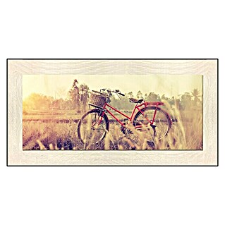 Cuadro (Bicicleta roja, An x Al: 130 x 56 cm)