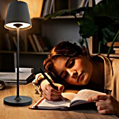 Ferotehna Akumulatorska namizna svetilka Gema  (3 W, Do x Š x V: 114 x 114 x 380 mm, Črna) | 3017 - Tischleuchte | CACJ - Tischleuchte | CAC - Indoorleuchten | CA - Beleuchtung | C - Elektro | BAUHAUS