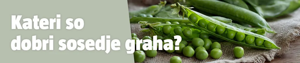 dobri sosedi graha
